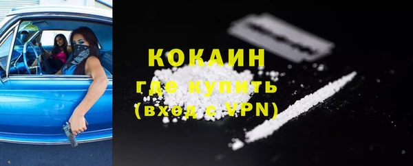 гидра Аркадак