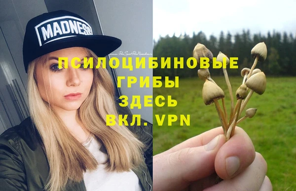 ПСИЛОЦИБИНОВЫЕ ГРИБЫ Армянск