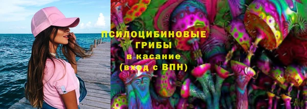 ПСИЛОЦИБИНОВЫЕ ГРИБЫ Армянск
