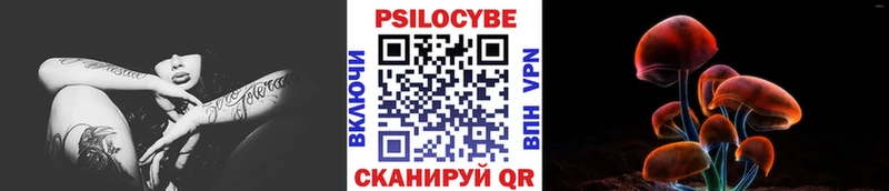 OMG как войти  магазин  наркотиков  Ахтубинск  Псилоцибиновые грибы ЛСД 